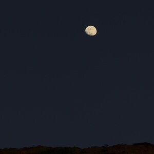 Meet your Posher, Ben